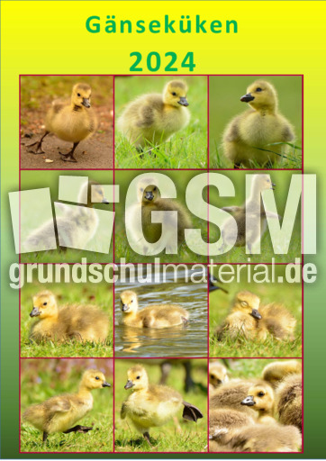 Gänseküken.pdf
